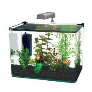 Kit d'aquarium de qualité et unique de 10 gallons