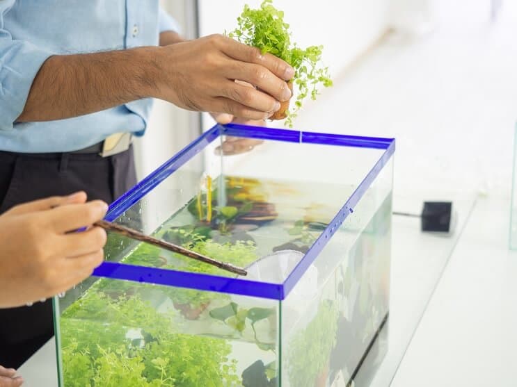 Réservoir de 10 gallons