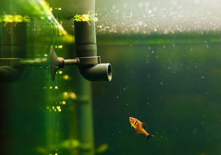 Équipement d'aquarium