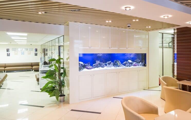 Réservoir de poissons de 100 gallons
