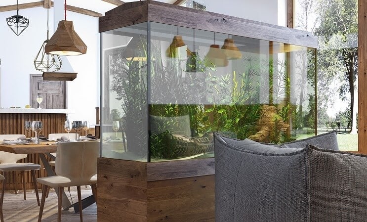 Aquarium de 100 gallons
