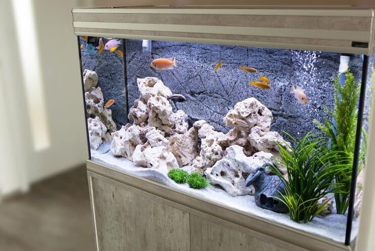 Aquarium de 30 gallons