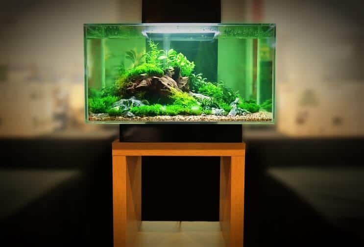 Équipement de réservoir de 30 gallons