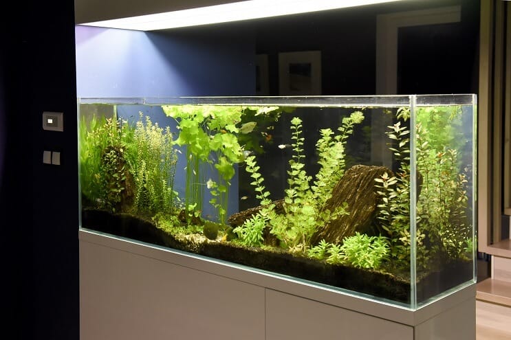 Idées d'installation de 40 gallons