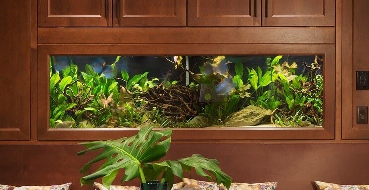 Aquarium de 40 gallons
