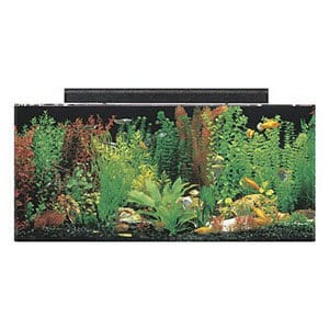 Ensemble combiné d'aquarium SeaClear