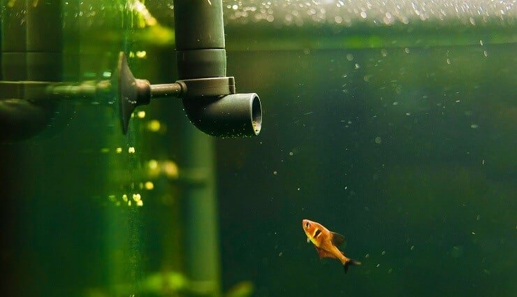 Filtre de réservoir de 15 gallons