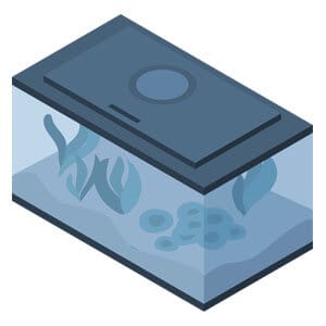 Parfait pour un poisson rouge