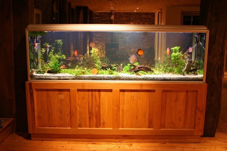 Réservoir de 55 gallons