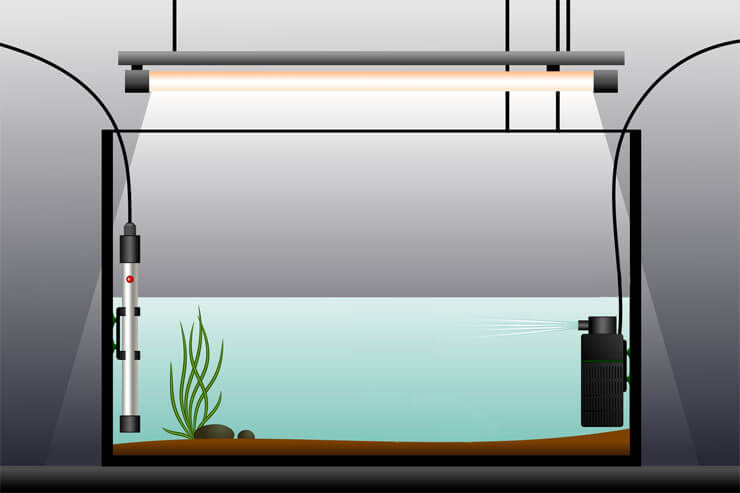 Chauffage d'aquarium
