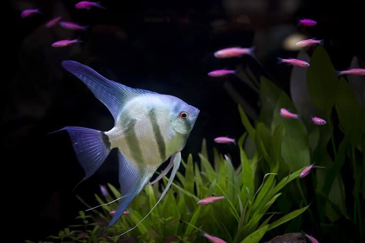 Suggestions de stockage pour un 55 gallons