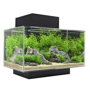 Aquarium Fluval Edge