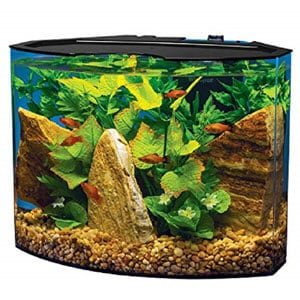 Aquarium Tetra Crescent
