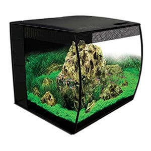 Meilleur kit de démarrage de 15 gallons