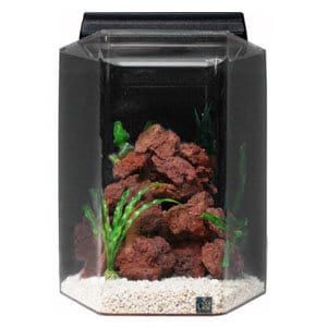 Meilleur réservoir unique de 15 gallons