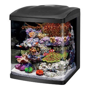 Meilleur réservoir premium de 15 gallons
