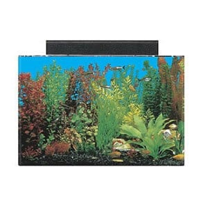 Meilleur aquarium de 20 gallons