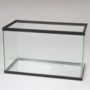 L'aquarium de 20 gallons le plus abordable