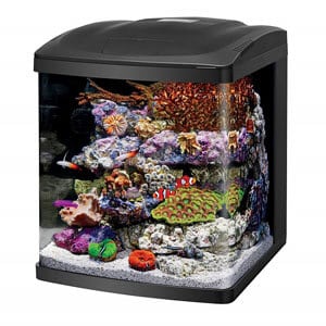 Aquarium cubique