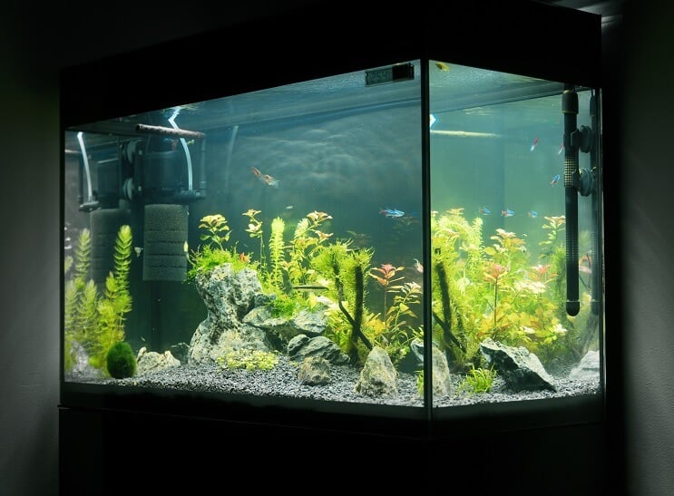 Équipement de 20 gallons de long