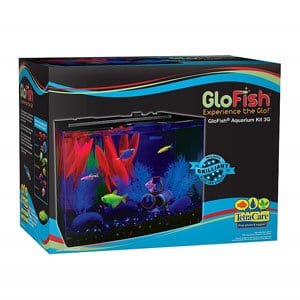 Aquarium GloFish