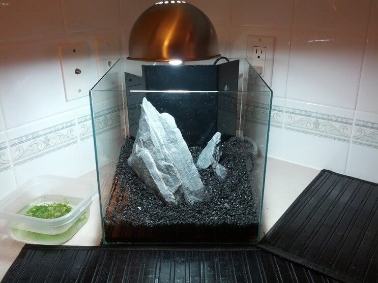 Configuration du réservoir de 3 gallons
