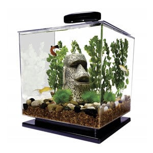 L'aquarium Tetra