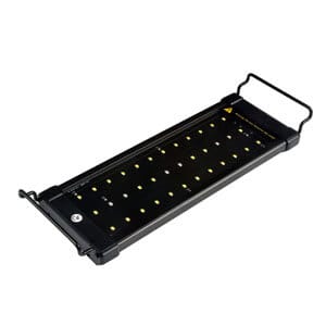 Éclairage LED classique NICREW