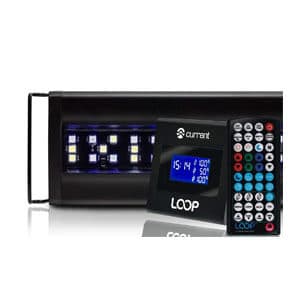 Éclairage LED actuel