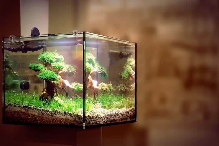 Éclairage d'aquarium à LED