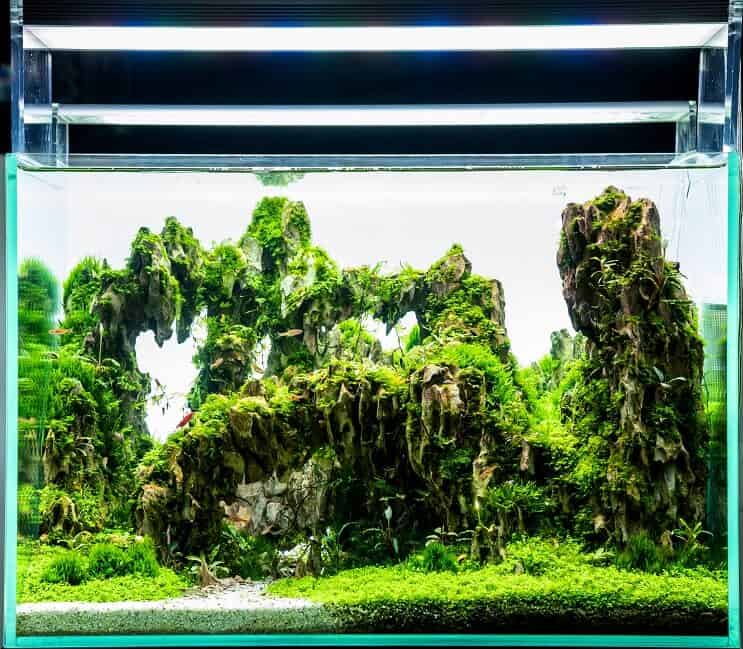 Éclairage LED sur le réservoir