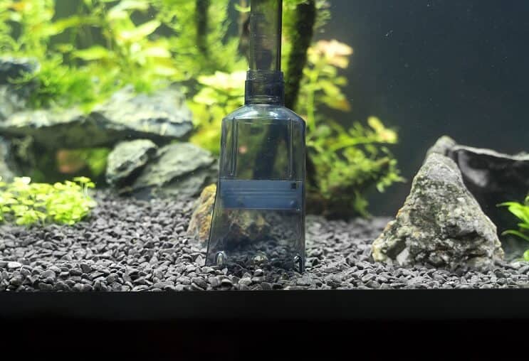 Siphon de gravier d'aquarium
