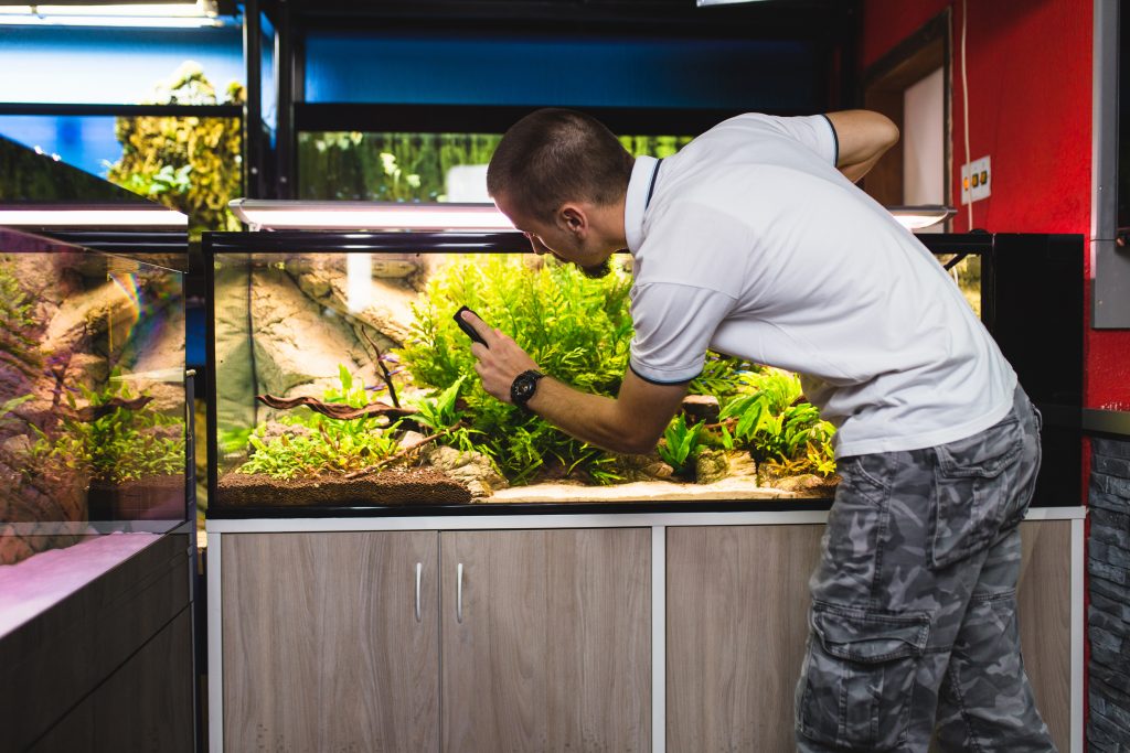 Comment construire un aquarium