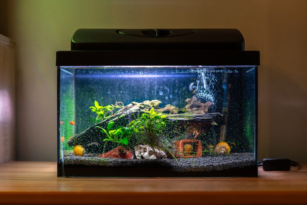 Comment construire un aquarium
