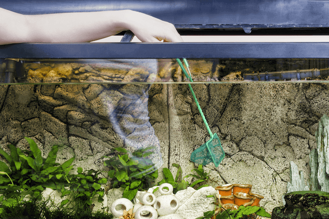 Fréquence de nettoyage du réservoir