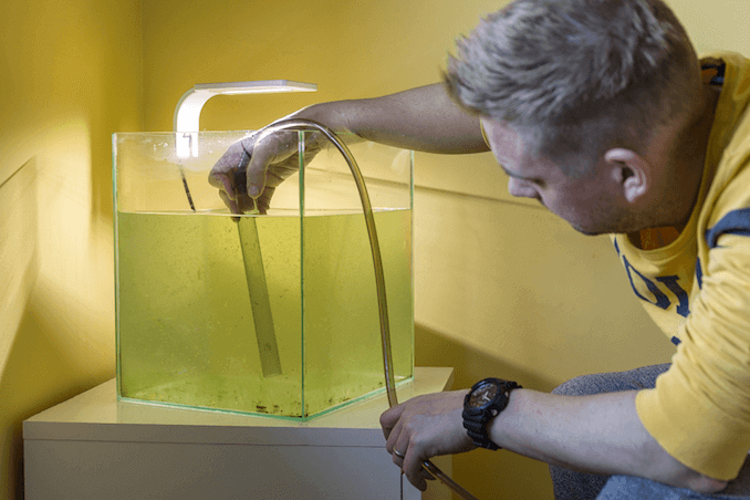 Siphonner l'eau du réservoir