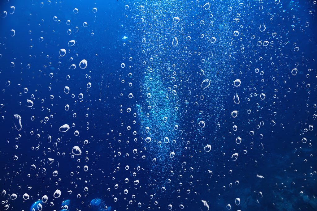Comment faire fonctionner un aquarium?