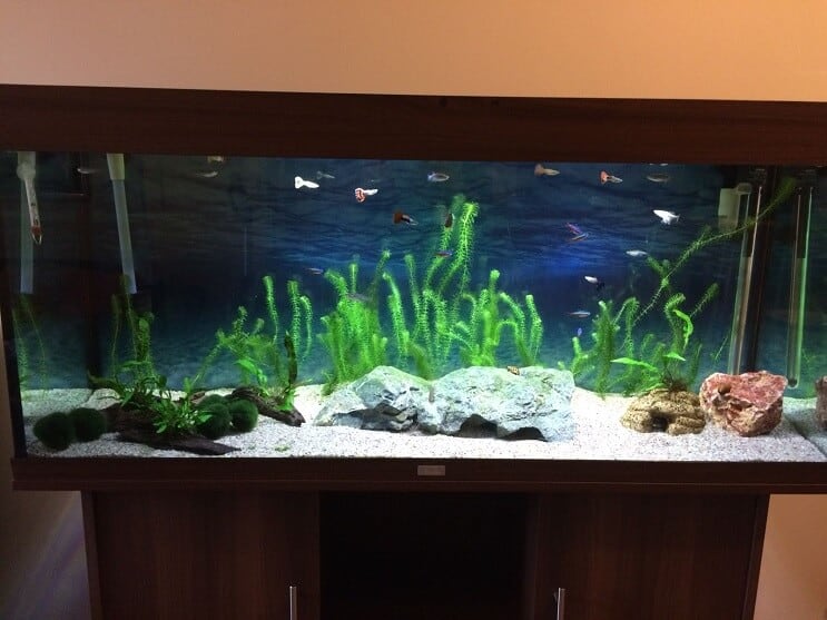 Réservoir fini