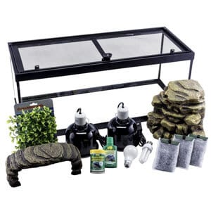 Meilleur kit de départ pour tortues 