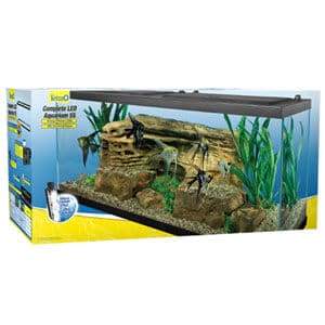Aquarium Tetra 55 gallons