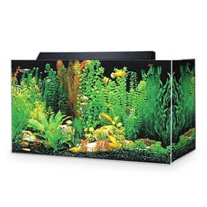 Aquarium acrylique Seaclear de 30 gallons