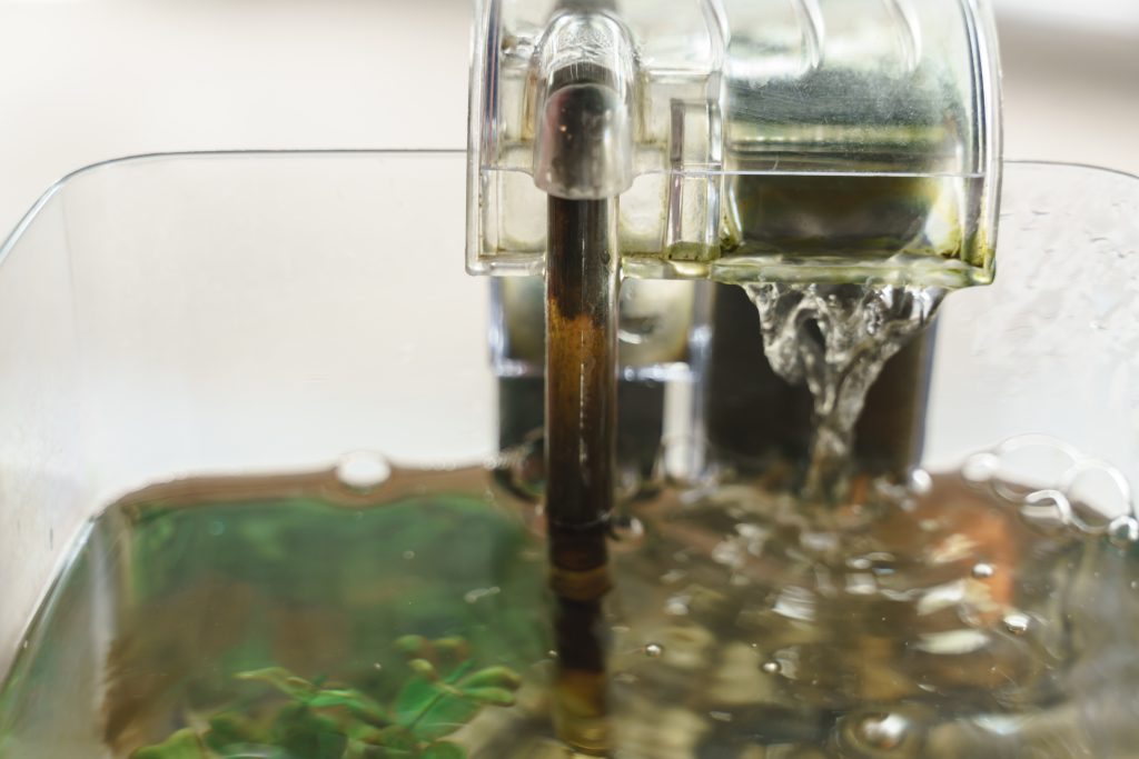 eau trouble dans l'aquarium