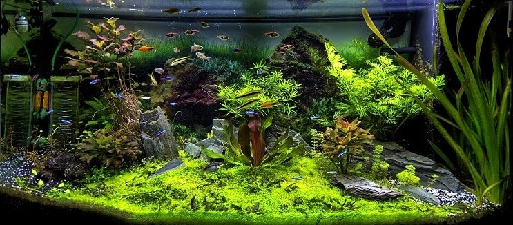 Aquarium