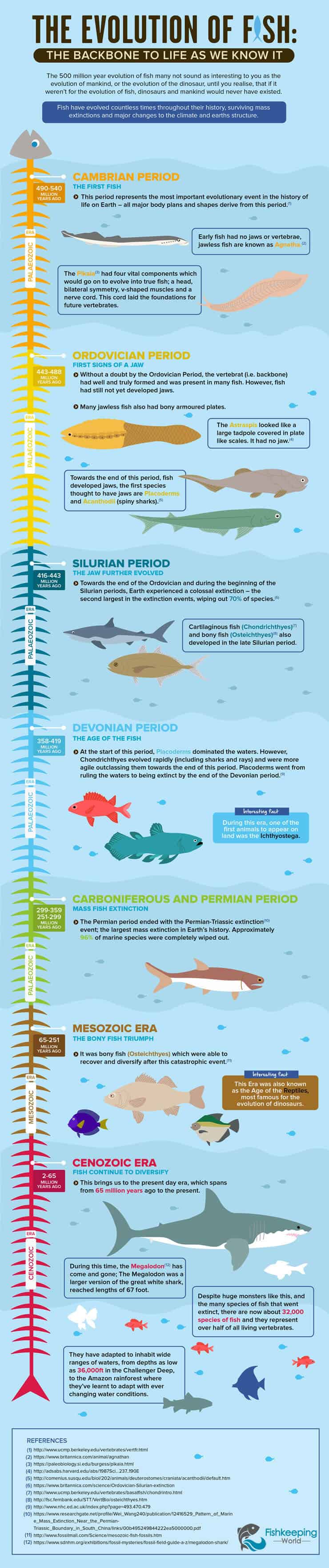 L'évolution de l'infographie des poissons