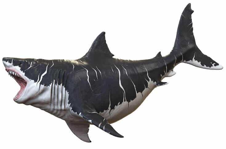 Mégalodon
