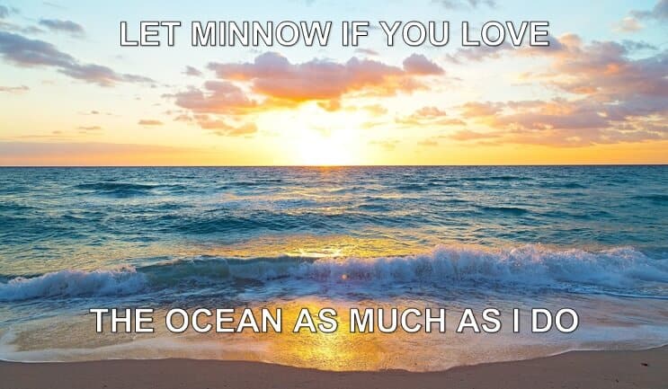 Laisser Minnow