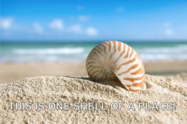 Une coquille d'un lieu