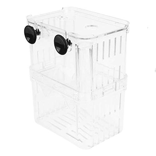 Boîte d'élevage d'aquarium Petzilla in-Tank pour aquarium, incubateur d'élevage pour petits poissons, diviseur en acrylique pour crevettes poisson clown poisson agressif blessé (petit)