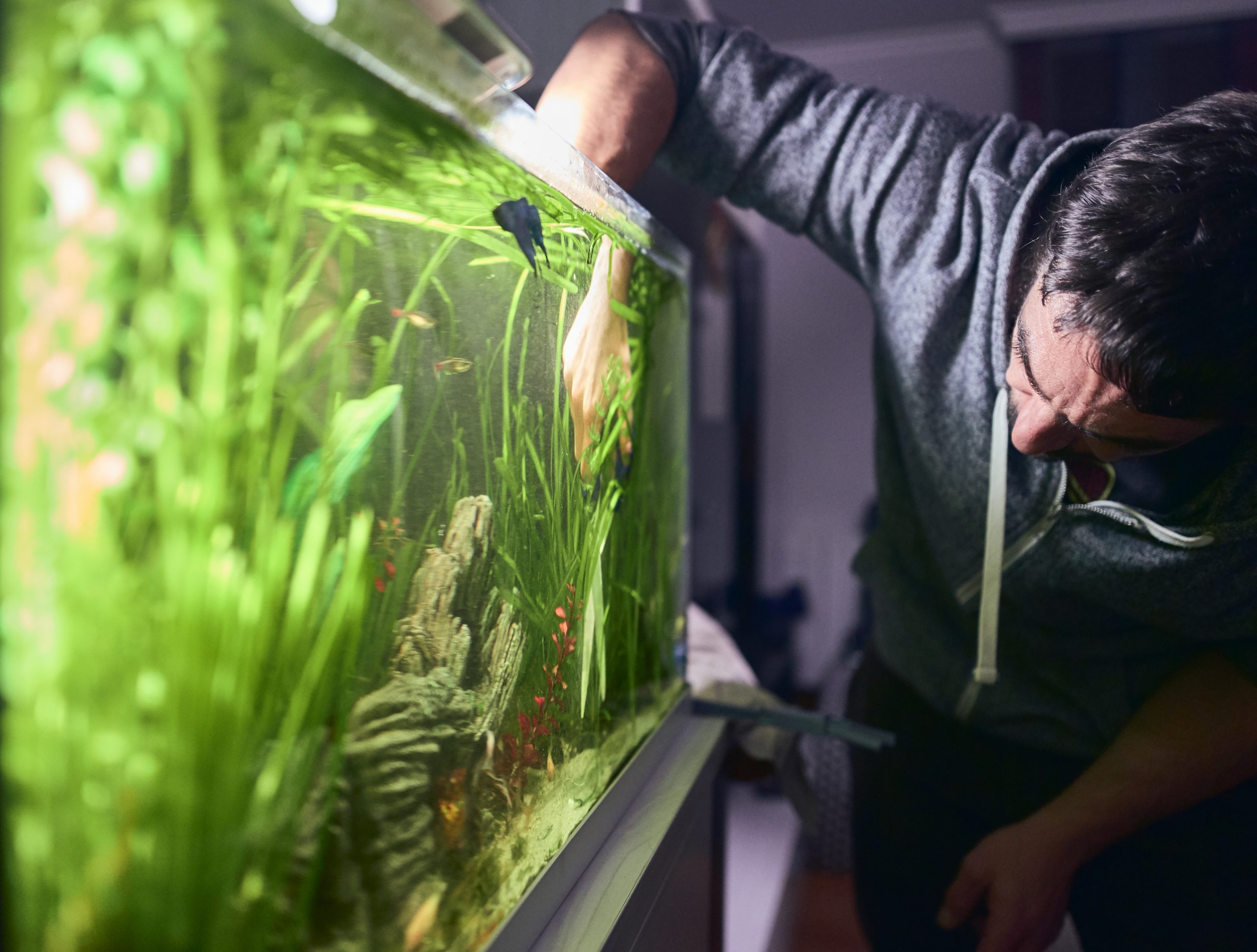 Comment construire un aquarium
